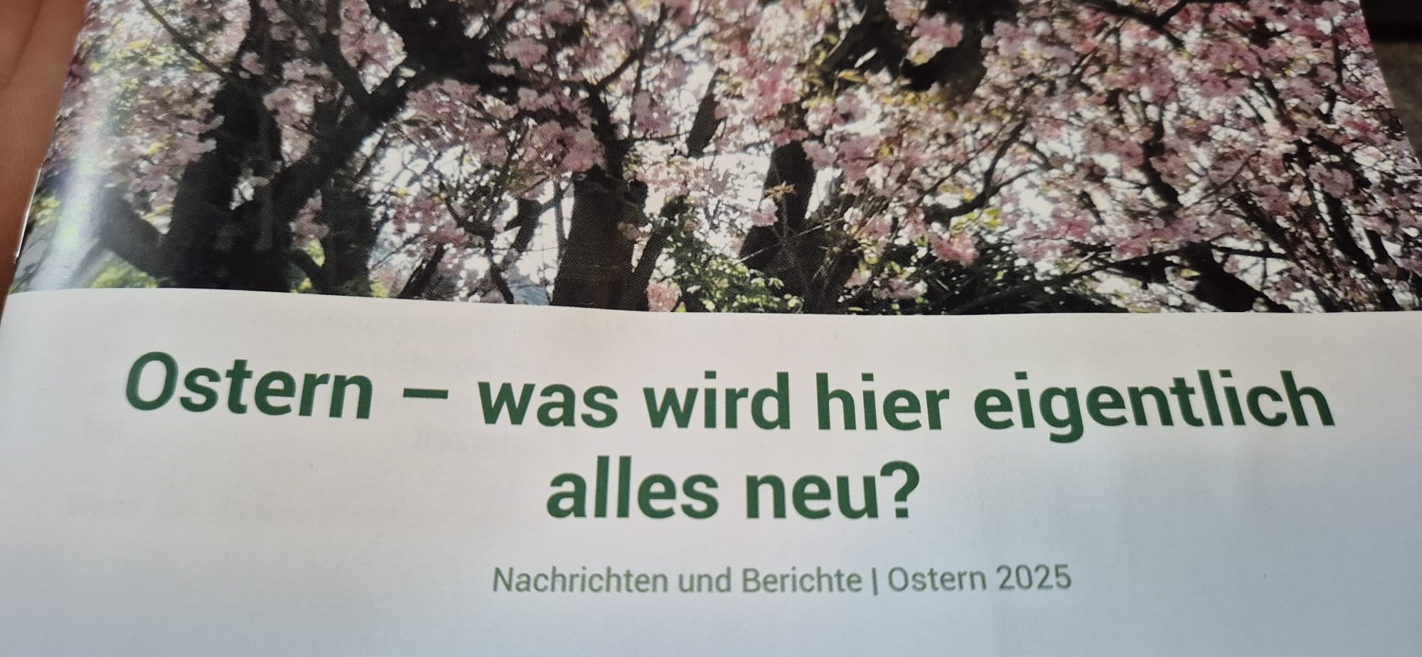 Der neue Pfarrbrief ist da!