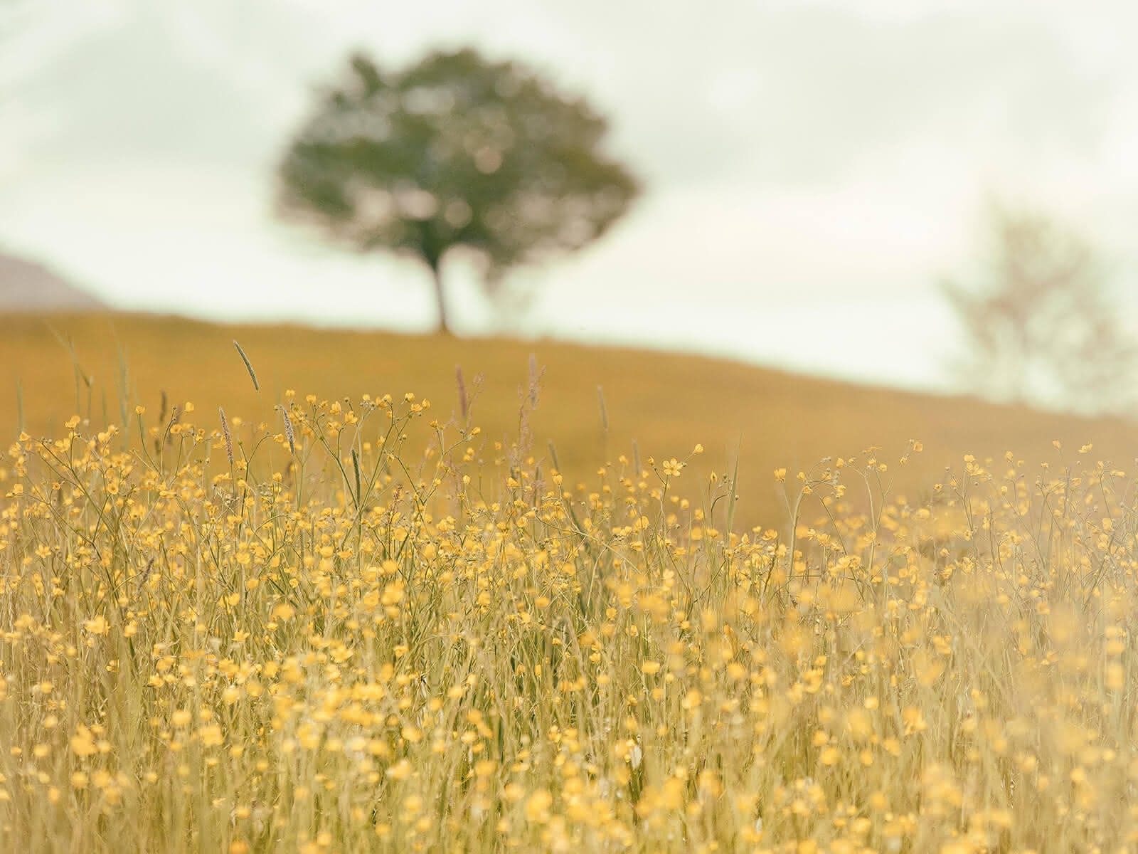 Tolles Bild vom Erzbistum (c) CC0 1.0 - Public Domain (von unsplash.com)